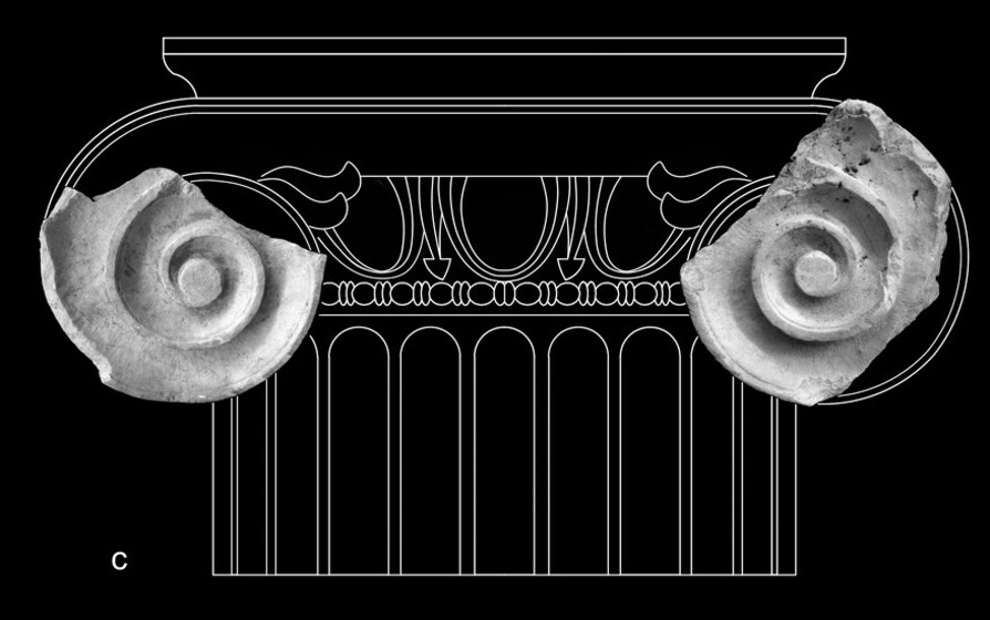 Capitello ionico (elaborazione grafica arch. P. Baronio)